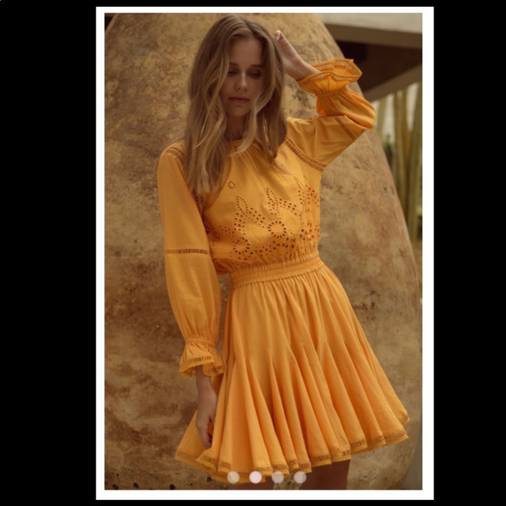 Misa Los Angeles lex dress - Picture 4 of 8